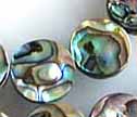 Abalone Shell 14mm Flat Coin Beads