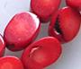 Red Coral 7x10mm Slice Oval