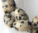 Domatian Jasper Faceted 8x12mm Barrel
