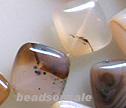 Montana Agate 17mm Diamond